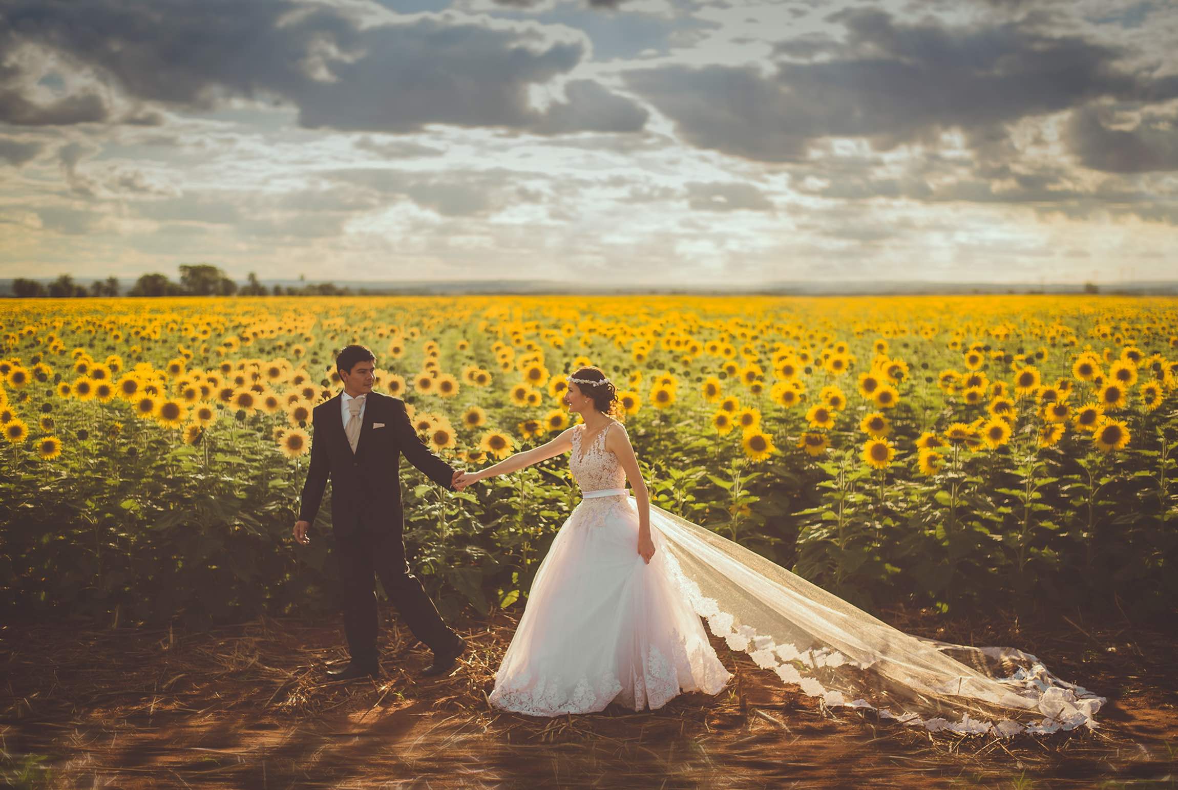 bride and grrom walking in a sunflower garden